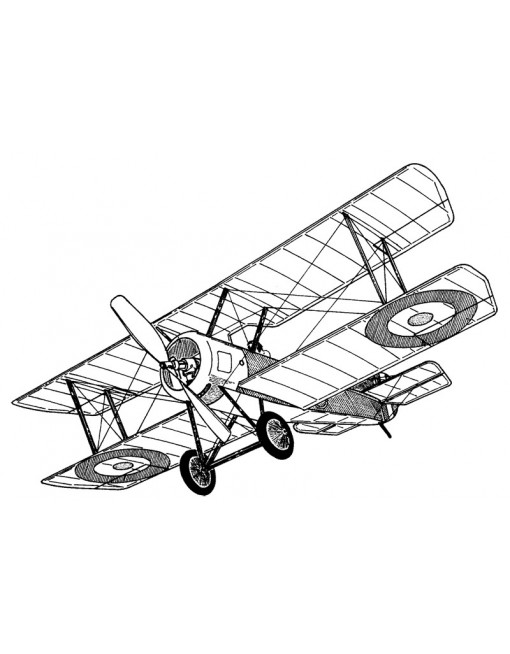 Sopwith Pup (102)